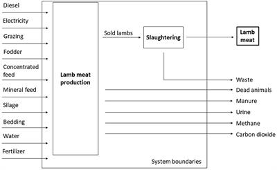 A New Approach to LCA Evaluation of Lamb Meat Production in Two Different Breeding Systems in Northern Italy